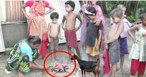 সত্যি ঘটনা !! দেখুন ছাগলের পেটে জন্ম নিল মানুষের বাচ্চা !! দেখতে ভিড় হাজারো মানুষের !!
