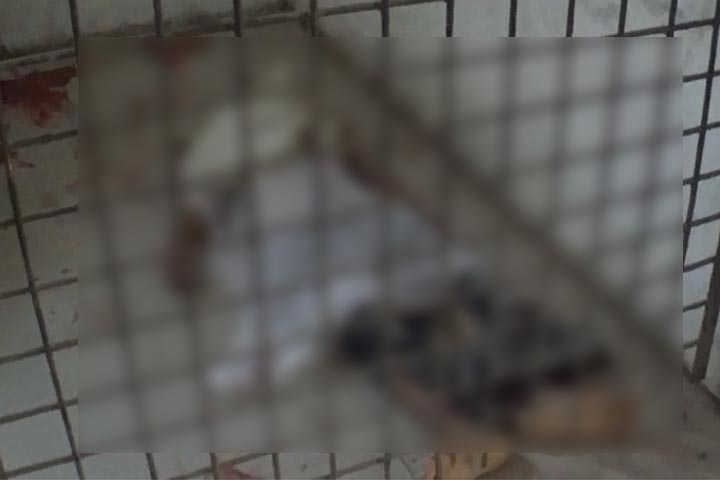 গাজীপুরে গণপিটুনিতে ছিনতাইকারী নিহত
