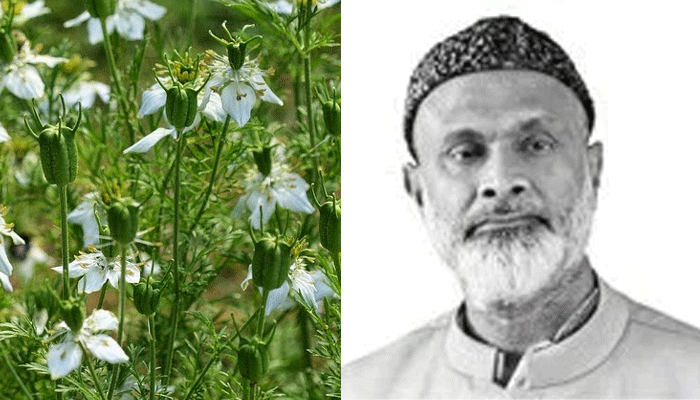 জেনে নিন কালােজিরার উপকারিতা, চাষাবাদ ও সংরক্ষণ – ডা. আলমগীর মতি